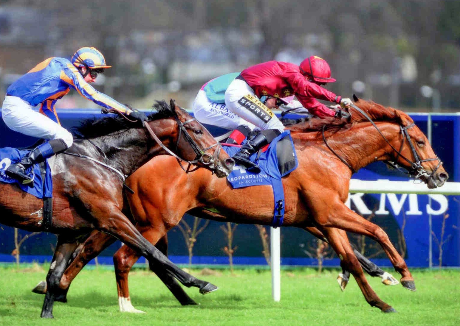 SACRIFICIAL winning at Leopardstown on April 15th 2015